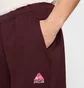 Штани чоловічі Nike Acg Therma-Fit Repel Tuff Bordo FV8650-652
