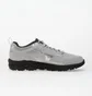 Кроссовки мужские Mizuno Wave Daichi Ls Metallic/Grey D1GA260102