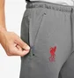 Штани чоловічі Nike Liverpool 21/22 Dri-Fit Travel Pant Grey DB7876-088