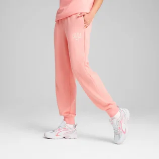 Штани жіночі Puma Class Sweatpants Peach 685037-18