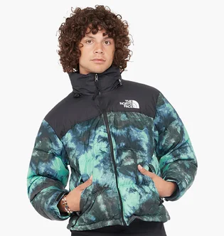 Куртка чоловіча The North Face Printed 1996 Retro Nuptse Jacket Green NF0A5IX4957