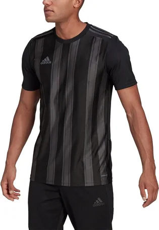 Футболка чоловіча Adidas Jersey Striped 21 Jsy Black/Grey GN7625