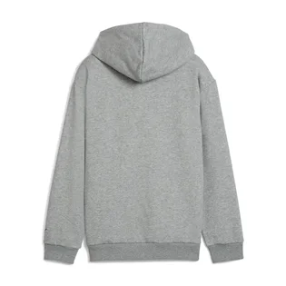 Худі дитяче Puma Basketball Hoopstellations Grey 688976-03