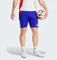 Шорты мужские Adidas Tiro 24 Competition Training Blue JF4195