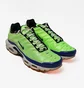 Кроссовки мужские Nike Air Max Plus Se Green DZ0480-300