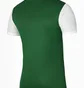 Футболка чоловіча Nike Dry Tiempo Premier Ii Green DH8035-302