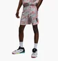 Шорты мужские Nike Zion Grey FB8159-025