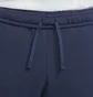 Штаны мужские Nike M Nsw Club Pant Cf Bb Blue BV2737-410