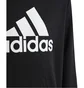 Худи детское Adidas Big Logo Essentials Cotton Hoodie Black HR6380