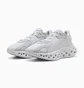 Кросівки жіночі Puma Softride Frequence Wns Grey 310556-13