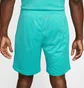 Шорты мужские Nike Nsw Mesh Short Turquoise HQ1984-345
