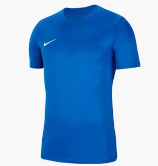 Футболка мужская Nike Jersey Park Vii Blue Bv6708-463