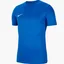 Футболка мужская Nike Jersey Park Vii Blue Bv6708-463