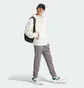 Худи мужское Adidas All Szn French Terry White IY4154