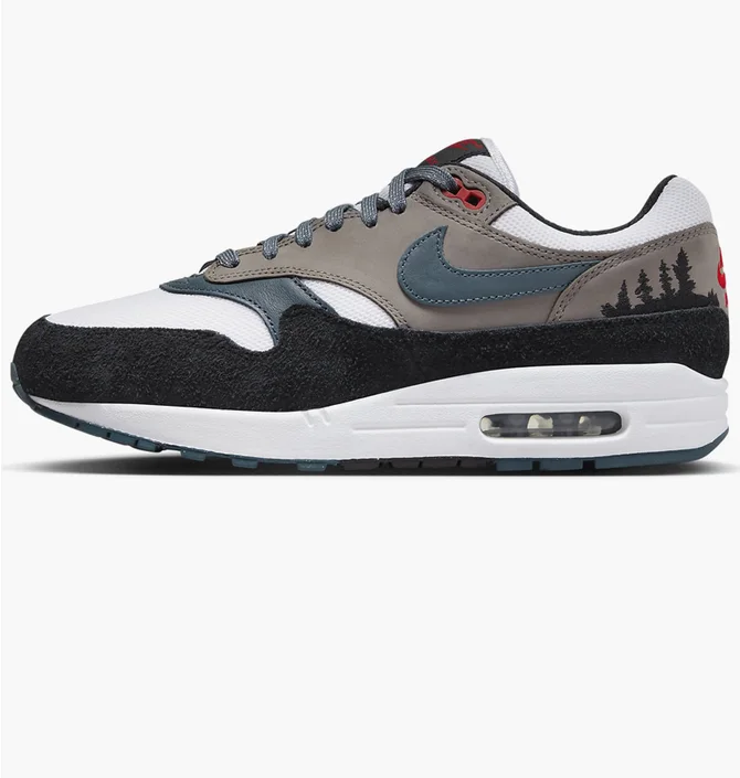 Кросівки чоловічі Nike Air Max 1 Premium Shoes Brown FJ0698-100