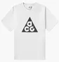 Футболка мужская Nike Acg Big Logo Tee White DJ3644-121