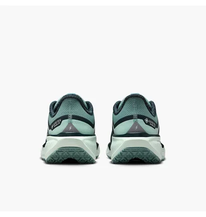 Кросівки жіночі Nike Pegasus 41 Gore Tex Turquoise FQ1357-003