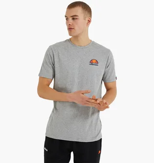 Футболка мужская Ellesse Canaletto Tee Grey SHS04548-112