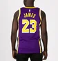 Майка унисекс Nike Nba Los Angeles Lakers Statement Edition Lebron James Violet/Black CV9481-508