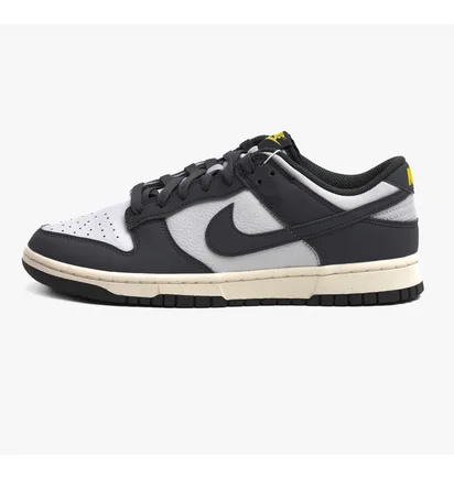 Кроссовки мужские Nike Dunk Low Next Nature Grey/White FZ4621-001