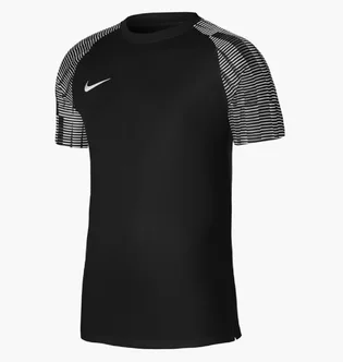 Футболка мужская Nike Dri-Fit Academy Black Dh8031-010