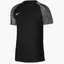 Футболка мужская Nike Dri-Fit Academy Black Dh8031-010