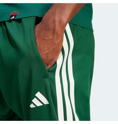 Штаны мужские Adidas House Of Tiro Nations Green JN2574