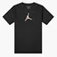 Футболка мужская Air Jordan M J Dfct Air Perf Gfx Crew Black CZ8087-010