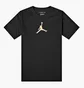 Футболка чоловіча Air Jordan M J Dfct Air Perf Gfx Crew Black CZ8087-010