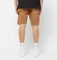 Шорты мужские Dickies Duck Canvas Short Brown DK0A4XNGC411