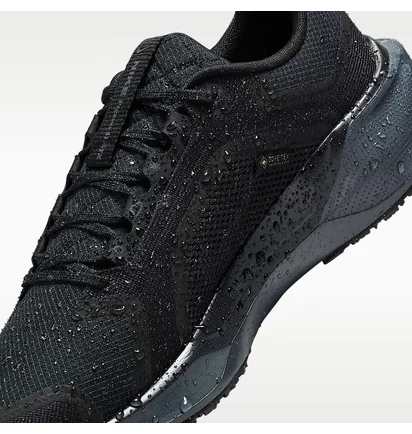 Кросівки чоловічі Nike Pegasus 41 Gore-Tex Waterproof Road Running Black FQ1357-001