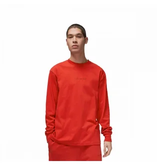 Лонгслив мужской Air Jordan Brand Air Wordmark Longsleeve Orange FJ0702-622