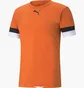 Футболка мужская Puma Teamrise Jersey Orange 704932-08