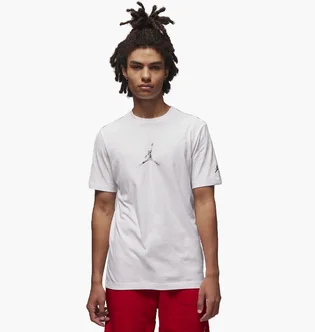 Футболка чоловіча Air Jordan Brand Jfx Ss Crew2 White FD7029-100