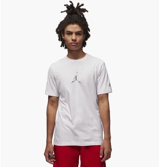Футболка мужская Air Jordan Brand Jfx Ss Crew2 White FD7029-100