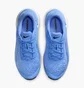 Кросівки жіночі Nike Versair Blue DZ3547-401