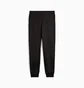 Штаны женские Puma Class Sweatpants Black 685037-01