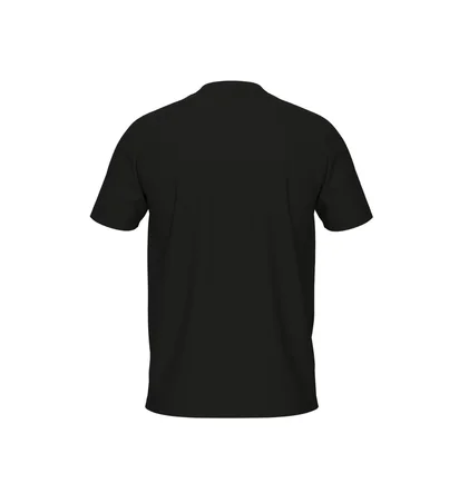 Футболка мужская Arena Graphic Black 010999-500