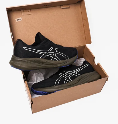 Кросівки чоловічі Asics Gel-Pulse 15 Gtx Black 1011B781-003