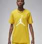 Футболка чоловіча Air Jordan T-Shirt Jumpman Yellow CJ0921-752