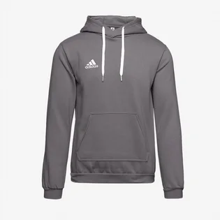 Худи мужское Adidas Entrada 22 Pullover Hoody Grey HB0578