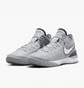 Кросівки унісекс Nike Lebron Nxxt Gen Basketball Shoes Grey DR8784-004