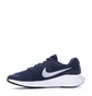 Кроссовки мужские Nike Revolution 7 Blue FB2207-400