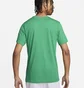 Футболка мужская Nike T-Shirt Court Dri-Fit Green FQ4934-324