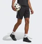 Шорты мужские Adidas Tiro 23 Club Training Shorts Grey Hs9533