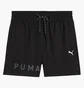 Шорты мужские Puma Cloudspun Branded 5 Black 526690-01