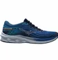 Кроссовки мужские Mizuno Wave Skyrise 5 Blue J1GC240951