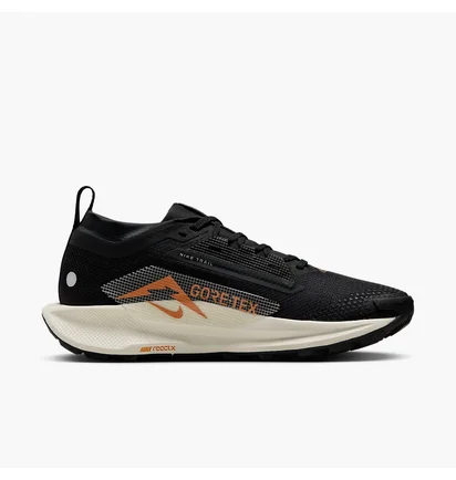 Кроссовки женские Nike Pegasus Trail 5 Gore-Tex Black FQ0912-005
