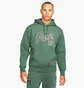 Худи мужское Air Jordan Paris Saint-Germain Statement Fleece Pullover Green DB6496-333