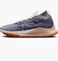 Кросівки жіночі Nike React Pegasus Trail 4 Gore-Tex Waterproof Trail Running Shoes Violet DJ7929-502